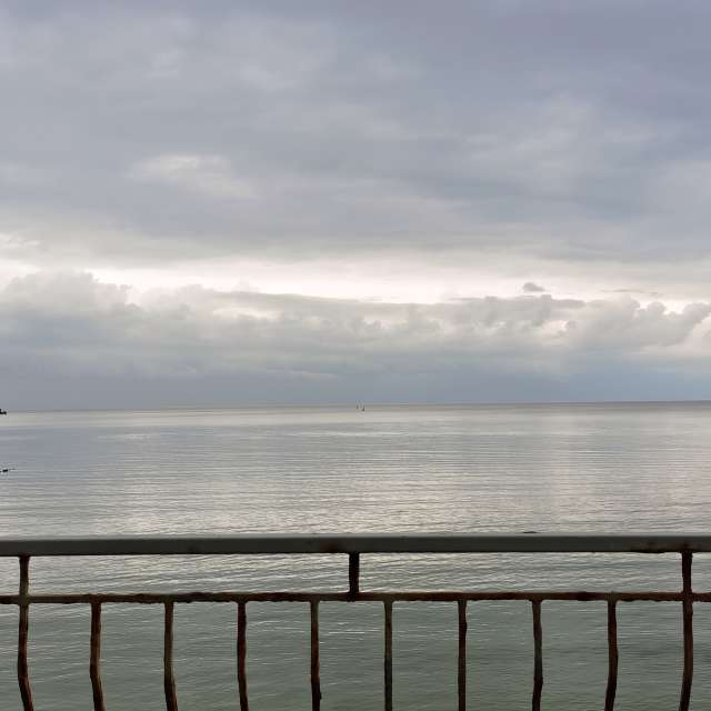 Fotos A lei. Previsões do tempo com lindas fotos de Михаил Бондаренко em Pionerskiy