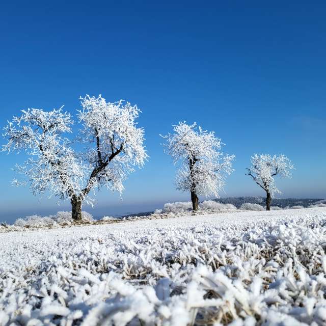 hejpetrpepaの美しい写真による天気予報