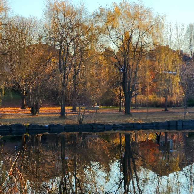 Wettervorhersagen mit schönen Fotos von KevinG
