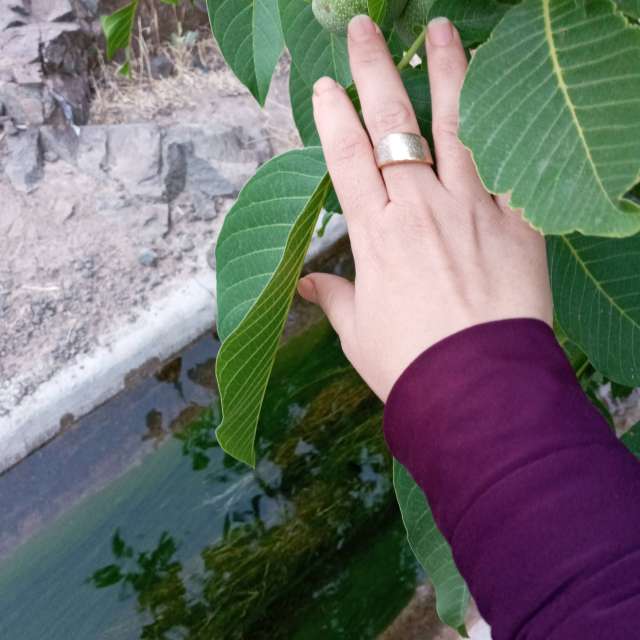 Wettervorhersagen mit schönen Fotos von fromIran