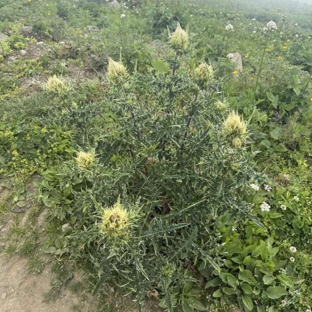 Dự báo thời tiết với những bức ảnh đẹp của mas777777