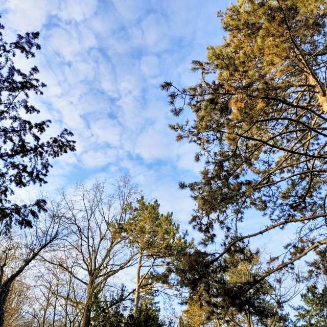 天气预报，带Gaucho精美的照片