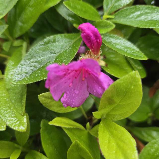 Prévisions météo avec de superbes photos de Jessica_A