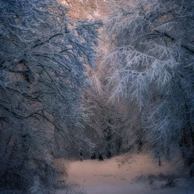 Weather forecasts with beautiful photos by RobertNagaj