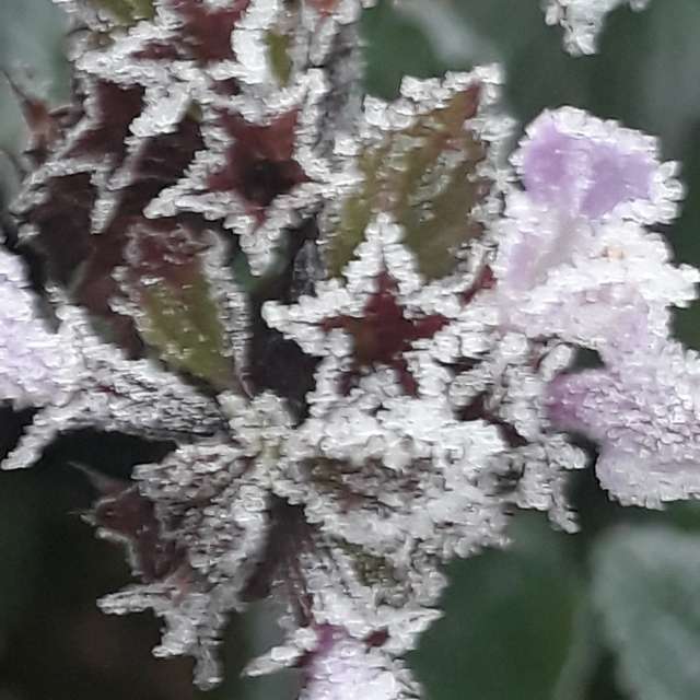 Wettervorhersagen mit schönen Fotos von Balint