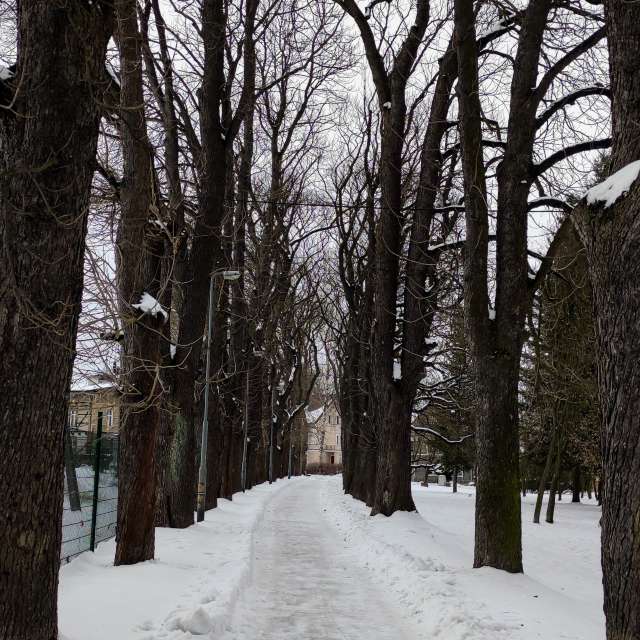 Little. Wettervorhersagen mit schönen Fotos von Kripo Fotos Ladek Zdroj
