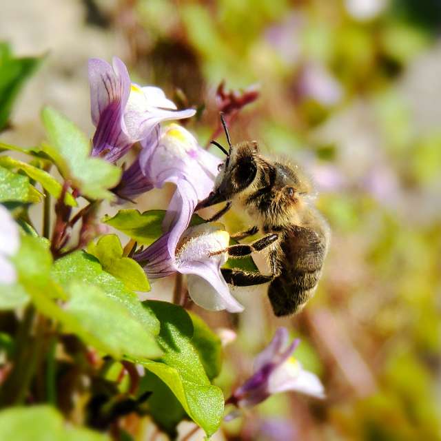 Previsões do tempo com lindas fotos de Vimal_Ram_S