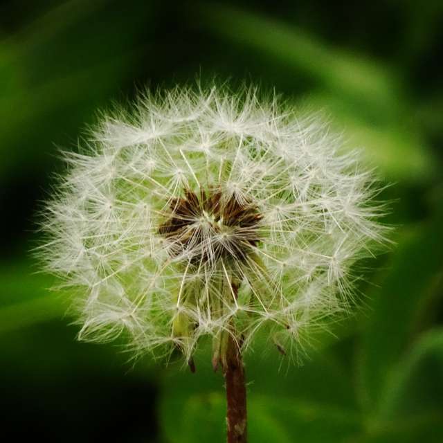 Leaf. Weather forecasts with beautiful photos by Михаил Гавриков Photos in Kharkiv