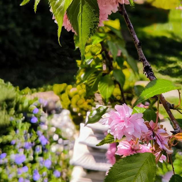 Weather forecasts with beautiful photos by Adri