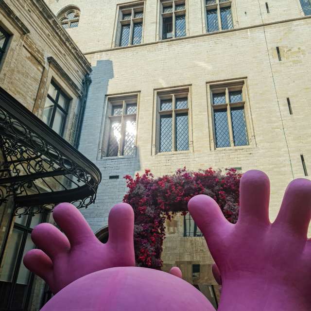 NASTIAの美しい写真による天気予報