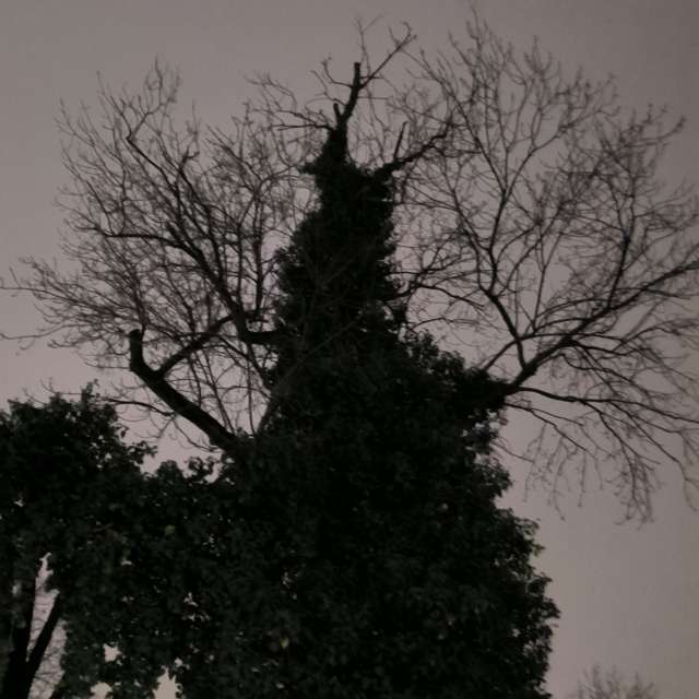 Fotos del Cruz. Pronósticos del tiempo con hermosas fotos de YanBog en București