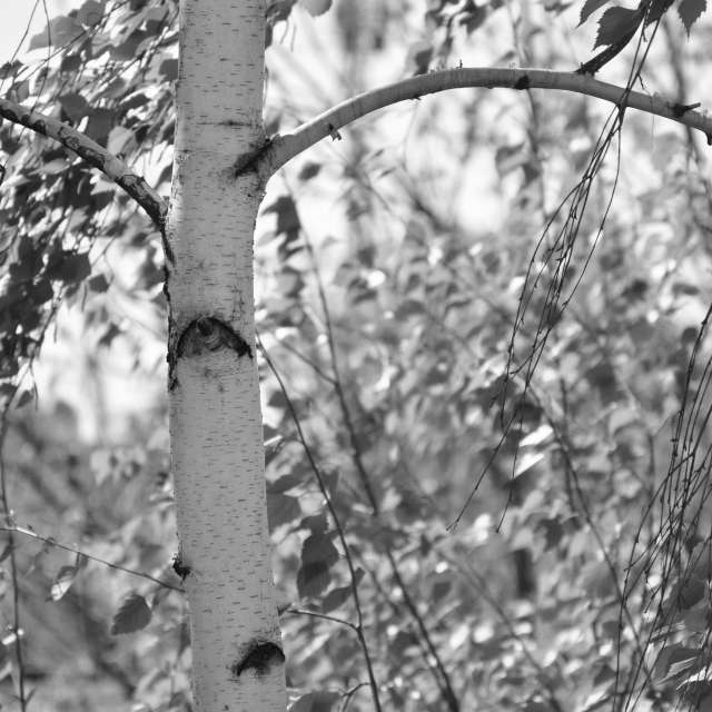 Fotos do tempo em Mundo. Previsões do tempo com lindas fotos de kriotis