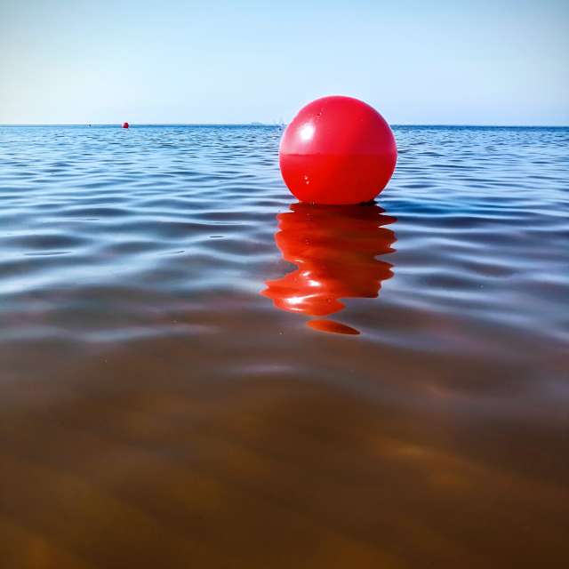 Pronósticos del tiempo con hermosas fotos de fruta