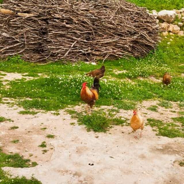 Previsões do tempo com lindas fotos de Ghasedak