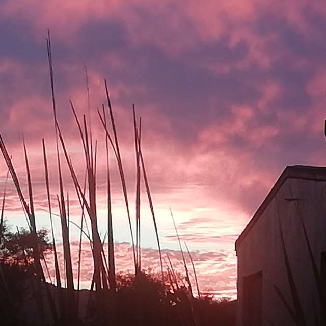 Betty s bay south africa 14 days weather forecast radar photos weawow