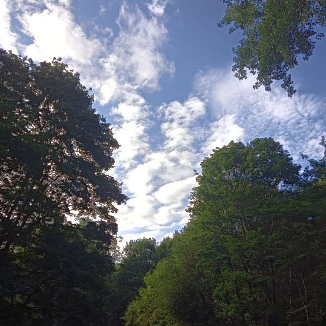 Pasture. Weather forecasts with beautiful photos by Amanda_and_Valdemar_Che Photos in Izmaylovo District