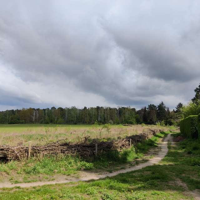 Fotos Abordado. Previsões do tempo com lindas fotos de Zorrra em Kladow
