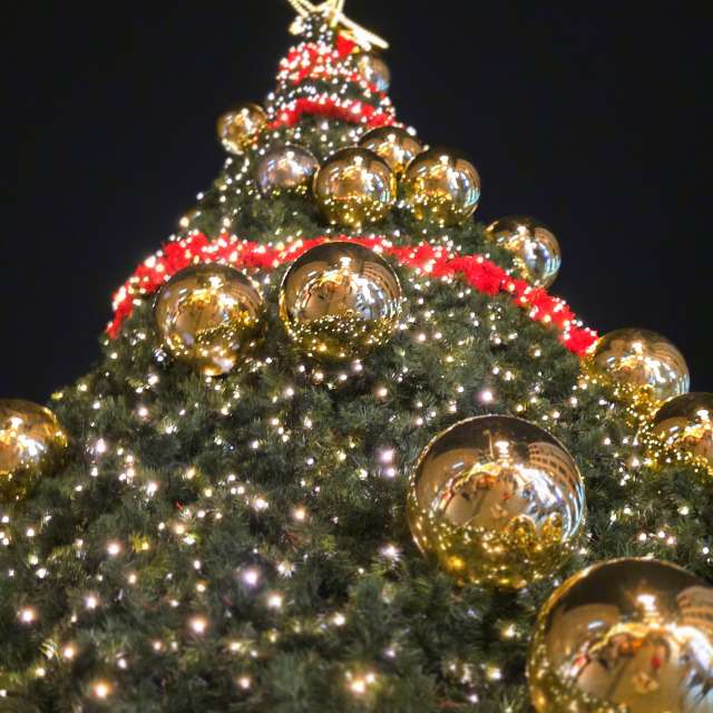 Seniの美しい写真による天気予報