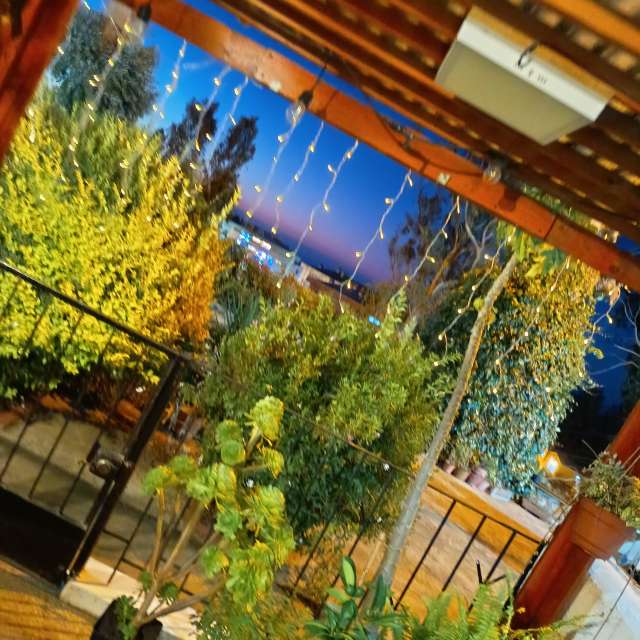 Pronósticos del tiempo con hermosas fotos de Nelson Toledo Calisto