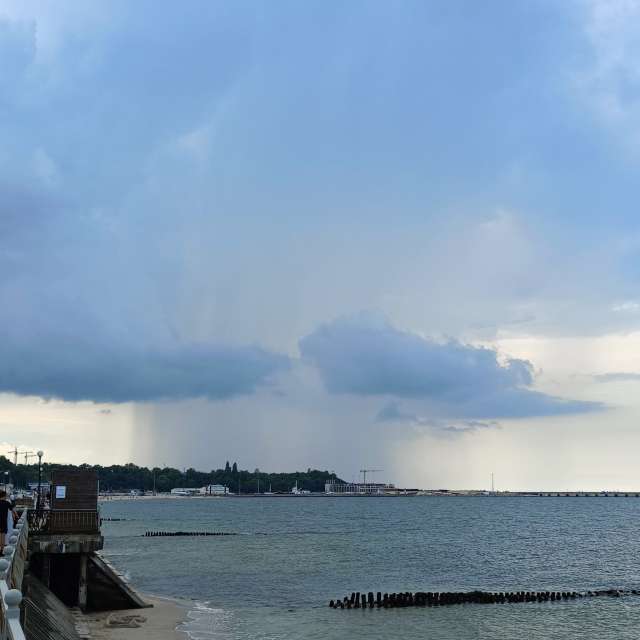 Fotos A lei. Previsões do tempo com lindas fotos de Михаил Бондаренко em Pionerskiy