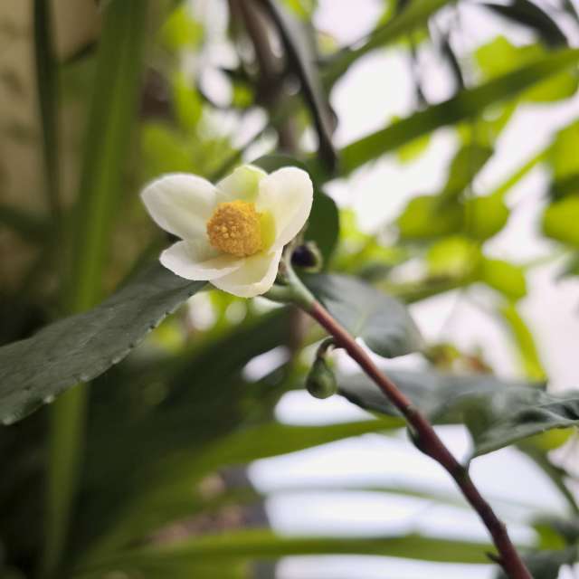 Weather forecasts with beautiful photos by Amanda_and_Valdemar_Che