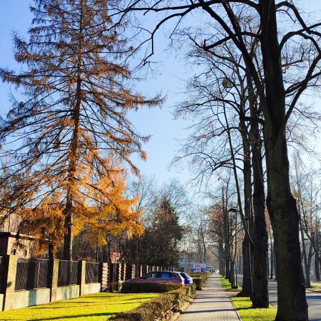 Weather Photos in World. Weather forecasts with beautiful photos by Romek58