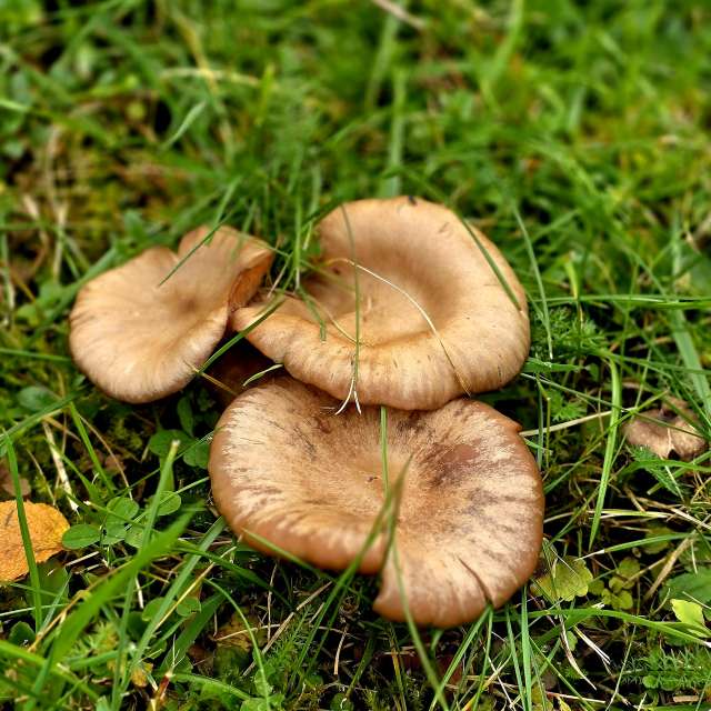 Jesen. Wettervorhersagen mit schönen Fotos von Hela Fotos Bayern