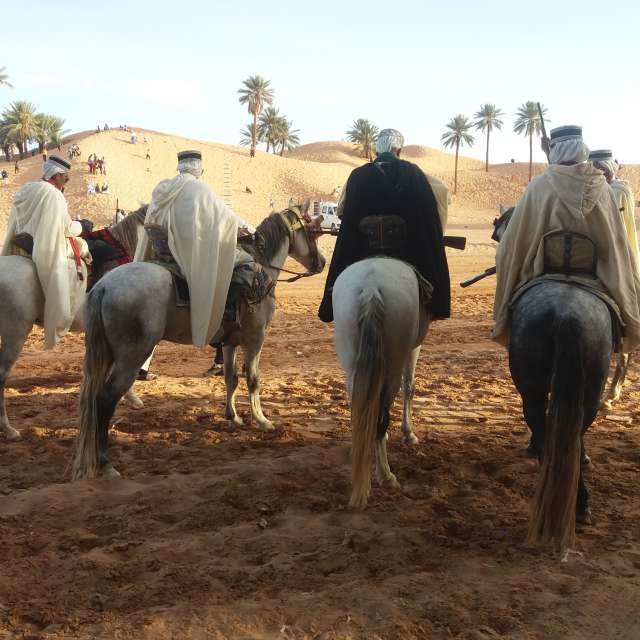 Photos Cheval. Prévisions météo avec de superbes photos de BELGHOUL-KADDA de Béchar