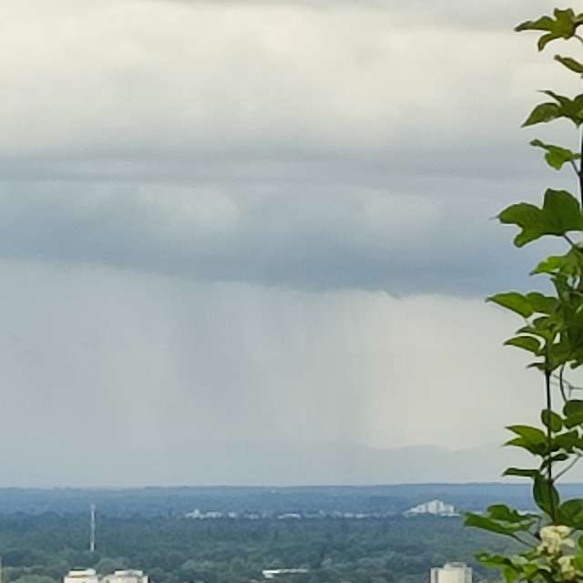Body. Weather forecasts with beautiful photos by Tercis Photos in Ettlingen