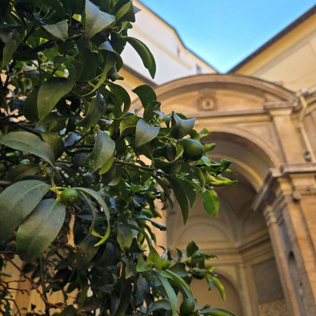 Prévisions météo avec de superbes photos de Jessica_A