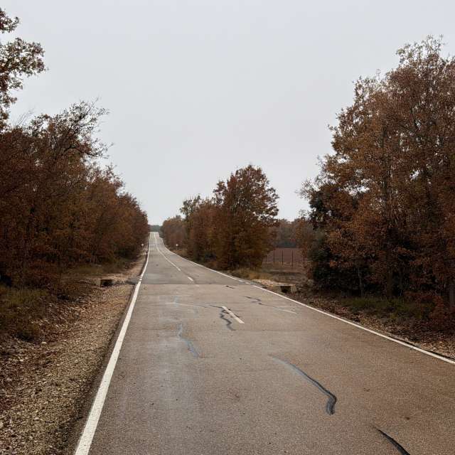 天气预报，带Knopfler83精美的照片