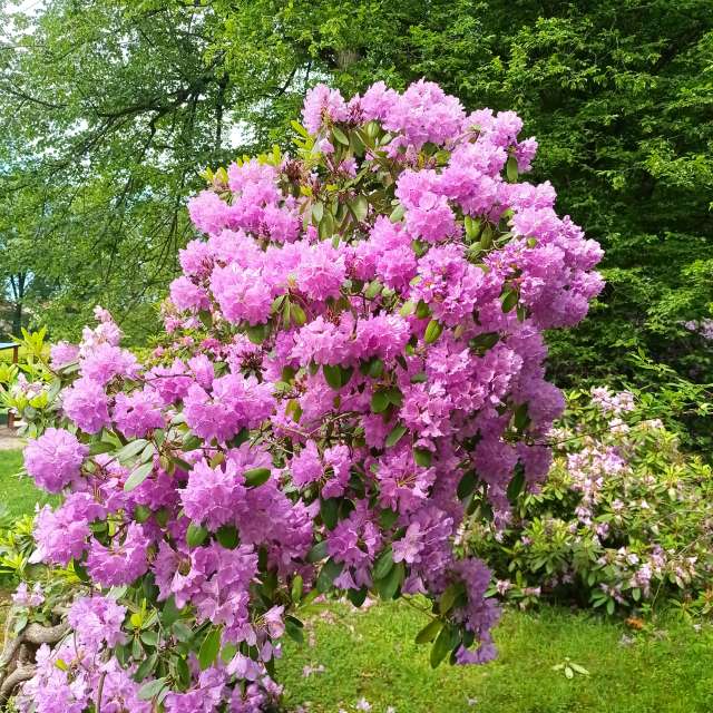 Weiblich. Wettervorhersagen mit schönen Fotos von Kripo Fotos Ladek Zdroj