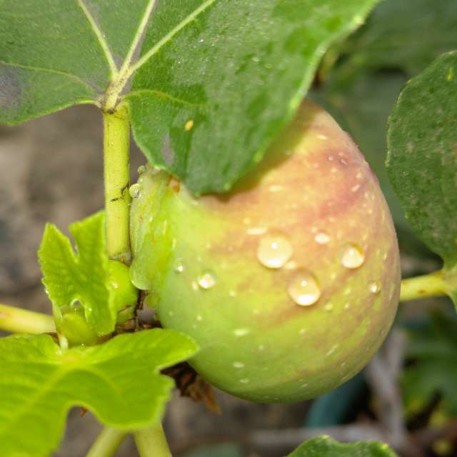 Photos Champ. Prévisions météo avec de superbes photos de Wen-ya Huang de Kaohsiung