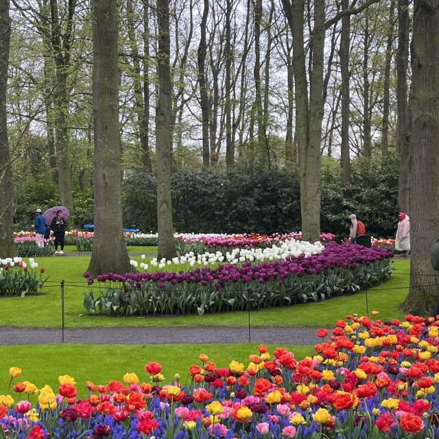 Weather forecasts with beautiful photos by Oksy