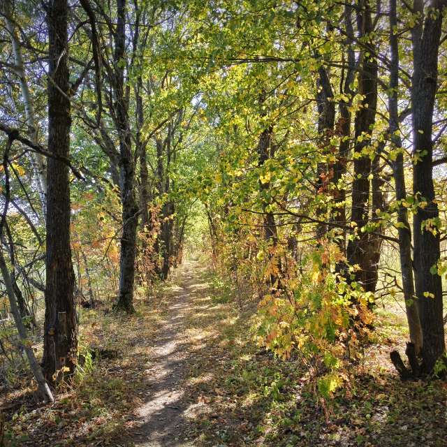 Wooded. Weather forecasts with beautiful photos by Aleksei Photos in Tula