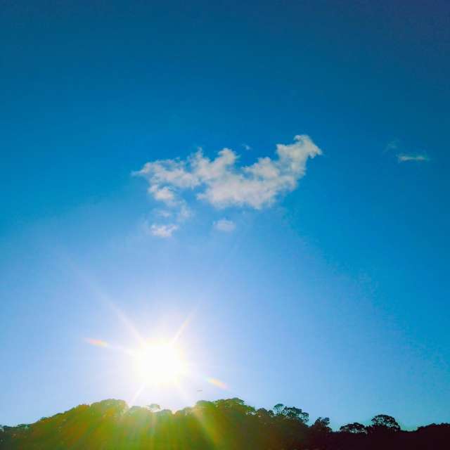 Sunnyyの美しい写真による天気予報