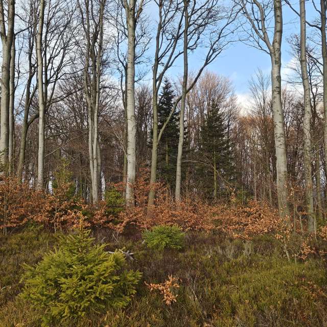 Weather forecasts with beautiful photos by zjabri