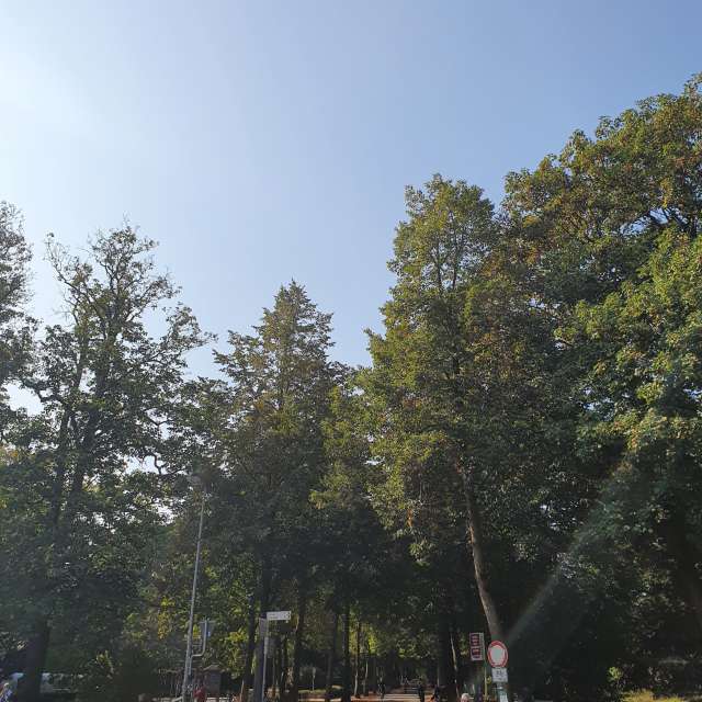 Weather. Wettervorhersagen mit schönen Fotos von Corniworn Fotos Münster