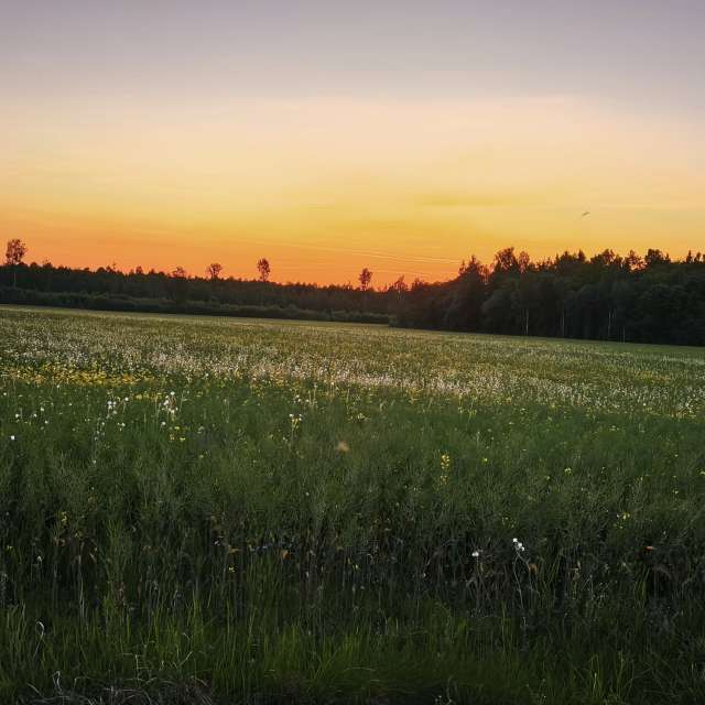 Landscape. Wettervorhersagen mit schönen Fotos von Valiukas Fotos Litauen