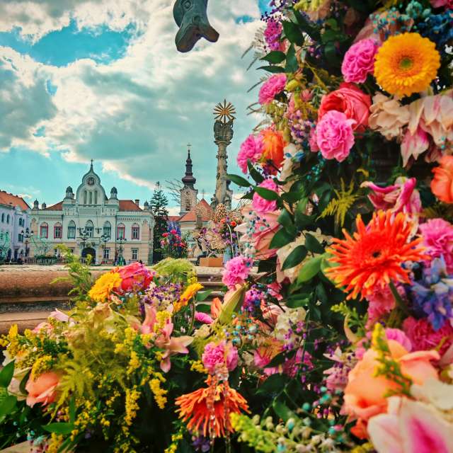 市场的天气照片. 天气预报，带Laurentiu精美的照片