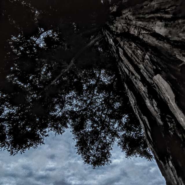 世界的天气照片. 天气预报，带Ghostroku精美的照片