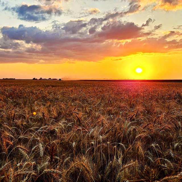 Jd2024の美しい写真による天気予報