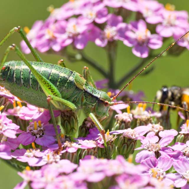 Tom44の美しい写真による天気予報