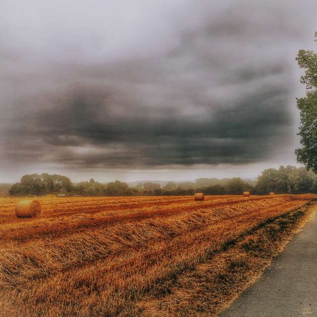 Prévisions météo avec de superbes photos de Gweiland