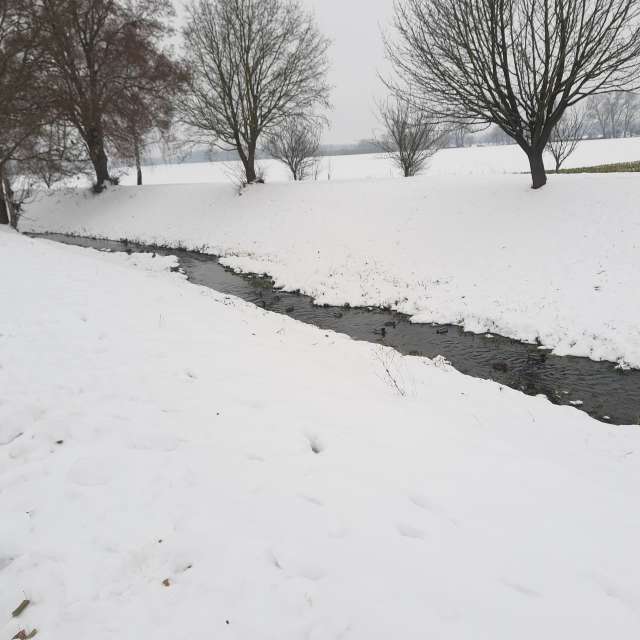Fotos Clima. Previsões do tempo com lindas fotos de Piškot em Bohunovice