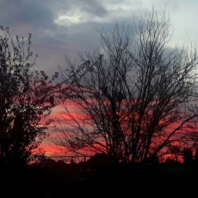 Wettervorhersagen mit schönen Fotos von Balint