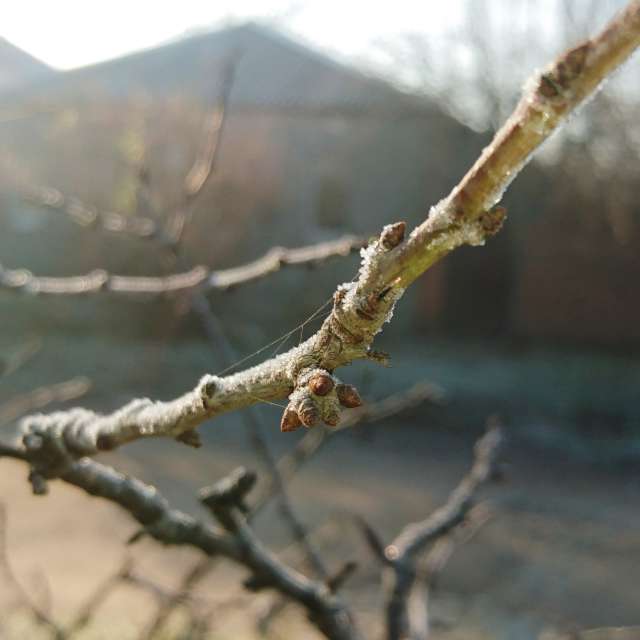 Water. Weather forecasts with beautiful photos by Михаил Гавриков Photos in Kharkiv