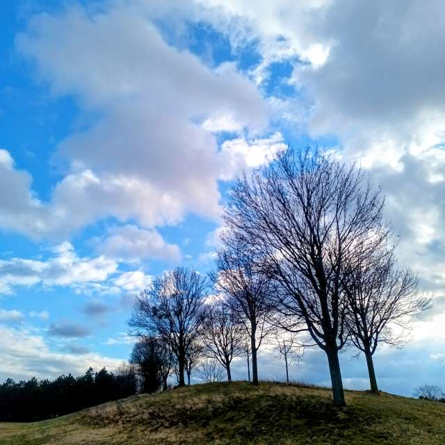 Kripoの美しい写真による天気予報