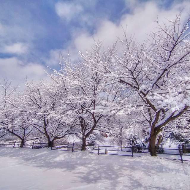 Weather. Weather forecasts with beautiful photos by Kasumisou Photos in Saku-shi