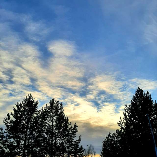 Прогнозы погоды с чудесными фотографиями, сделанными Favefamdamily